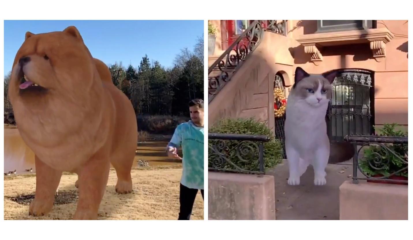 Google adds more AR animals to mobile Search and most of them are pretty  cute - glbnews.com