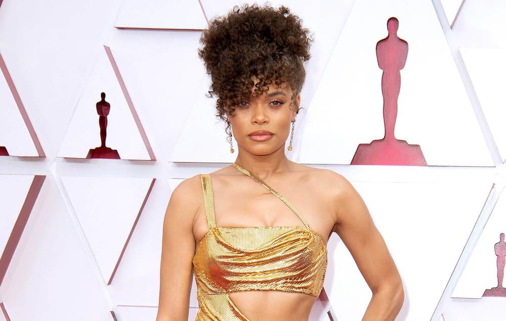 Andra Day husband, age, ethnicity, weight loss, relationships, net worth -  Briefly.co.za