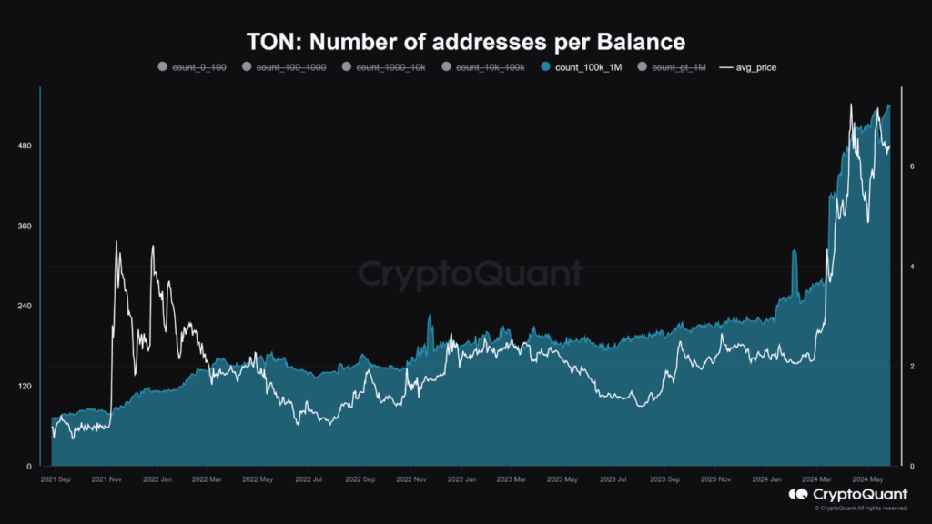 TON Price Prediction 2024-2030: Will TON Reach $100?