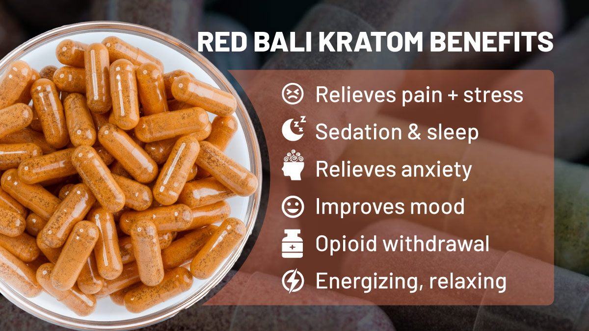 Red Bali Kratom Review 2024: Origin, Effects, Benefits & Best Places to Buy