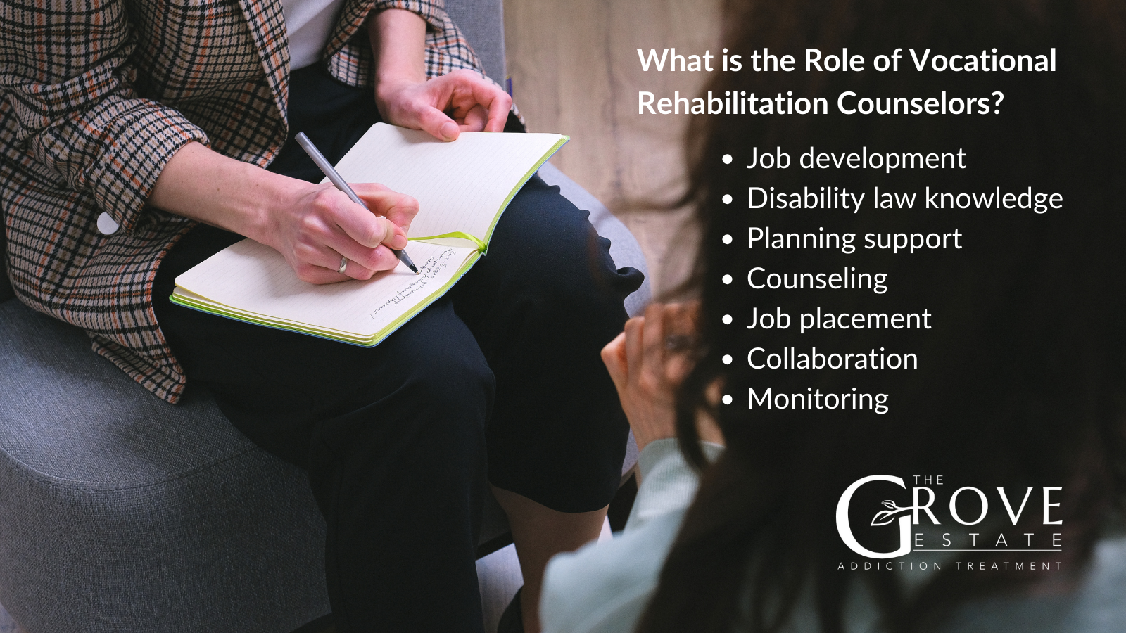 What is the Role of Vocational Rehabilitation Counselors