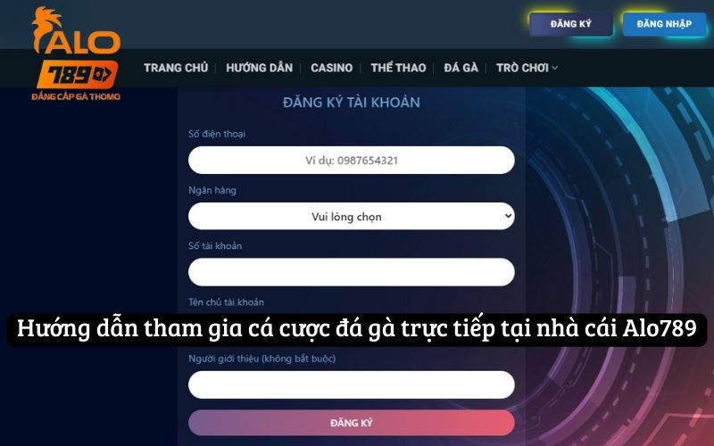 Hướng dẫn tham gia cá cược đá gà trực tiếp tại nhà cái Alo789