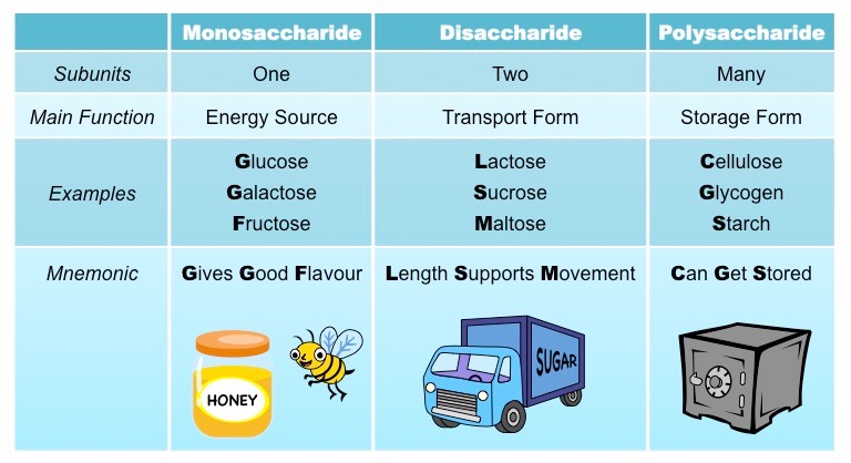 types of sugars