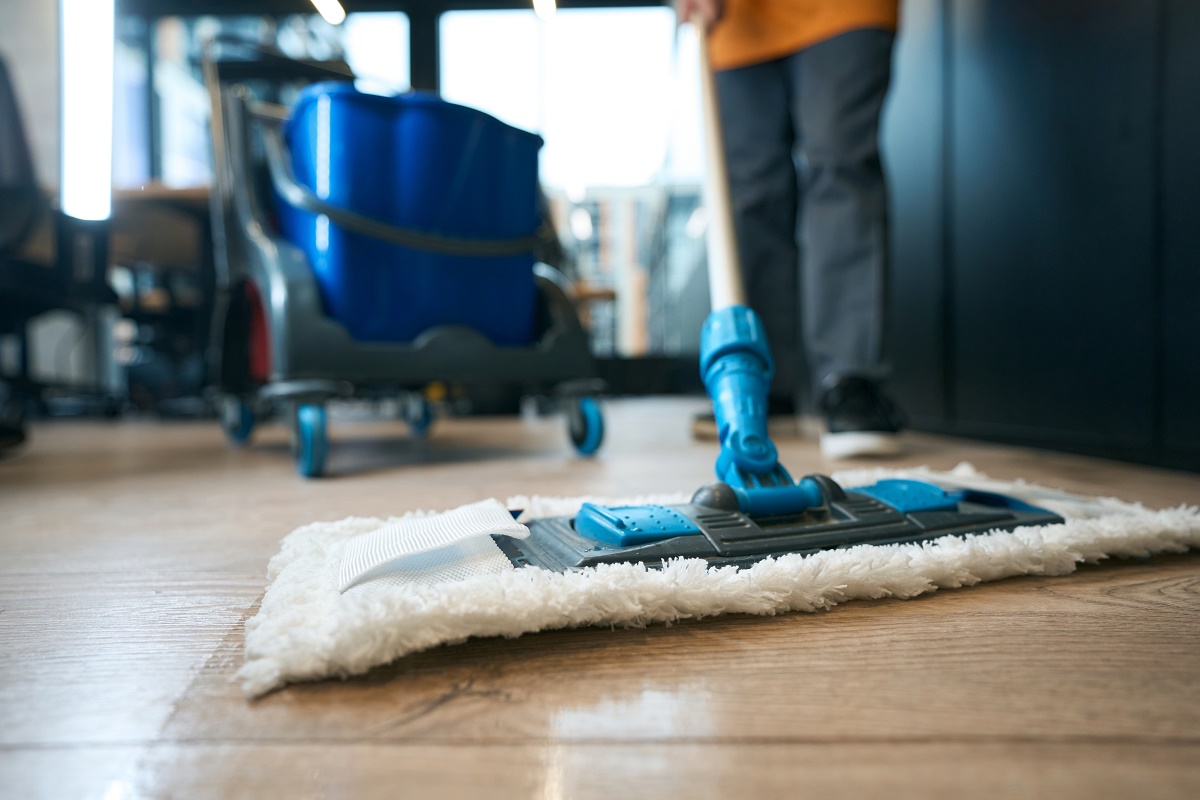 when it comes to maintaining clean and healthy floors, think of them as the foundation of a room’s well-being, requiring care and attention to flourish, prsq7mmtzfr5vwl g lupoeg nzg3tigfuana pkosbki evkgno1hnw