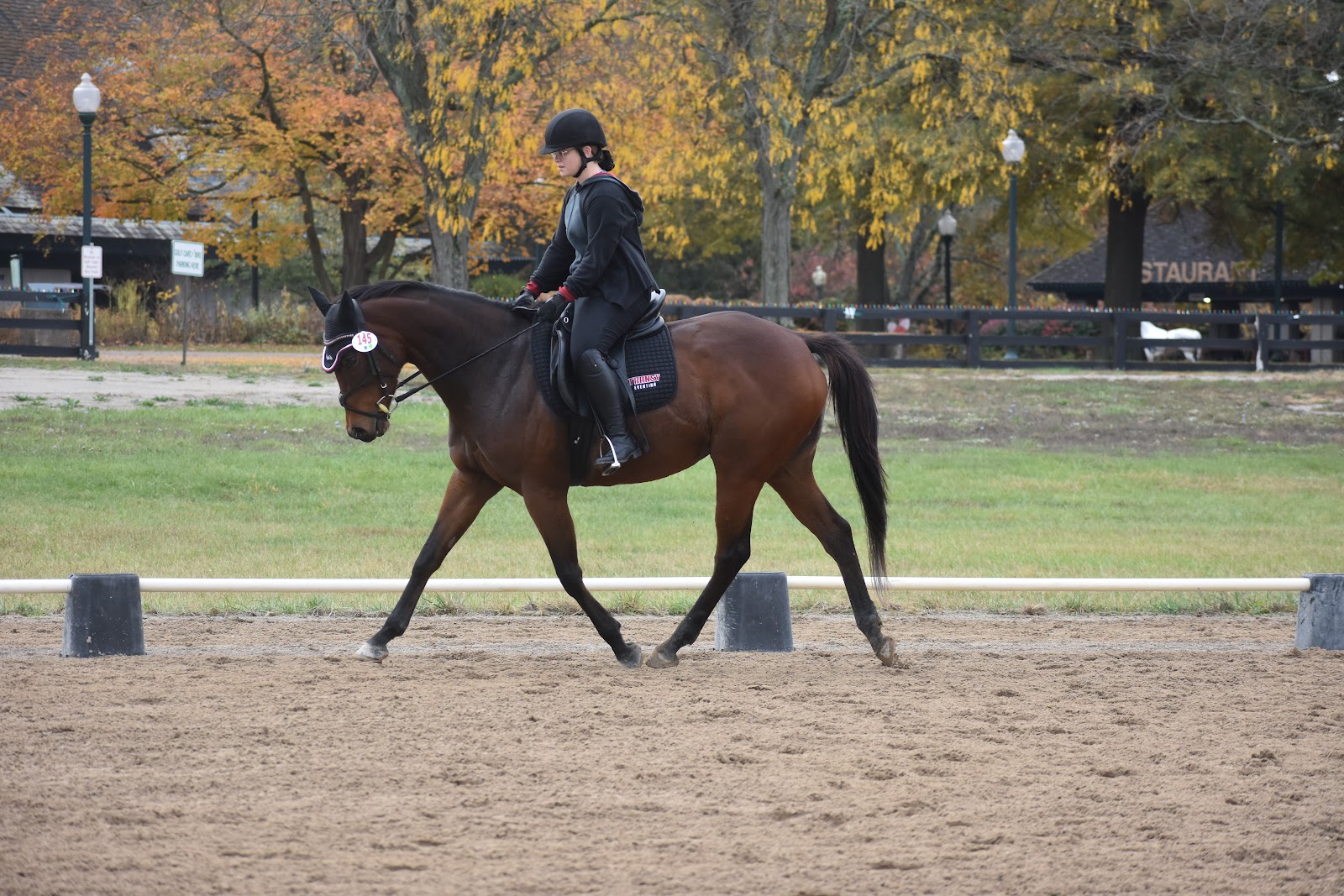 Transy Eventing celebrates Halloween at Octoberfest Horse Show