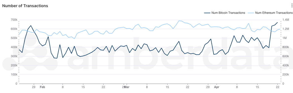 Amberdata API Bitcoin and Ethereum transaction counts over the last three months. 