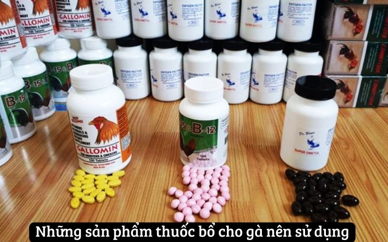 Những sản phẩm thuốc bổ cho gà nên sử dụng