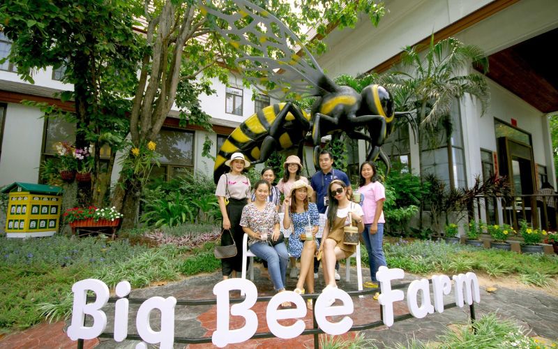 Big Bee Farm - Thiên đường của những người yêu thích loài ong 