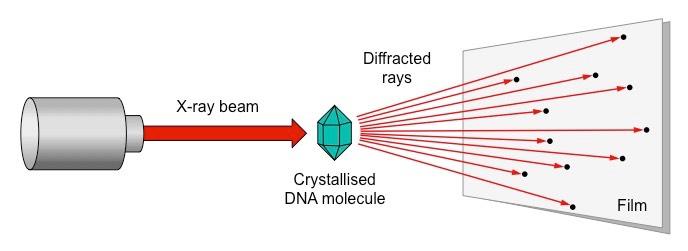 x-ray crystallography