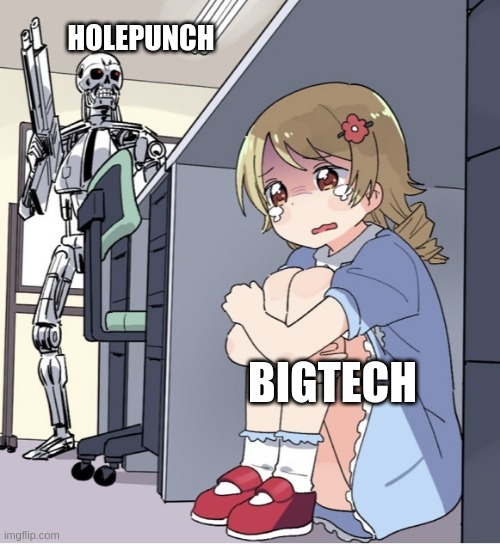 Meme crypto Holepunch