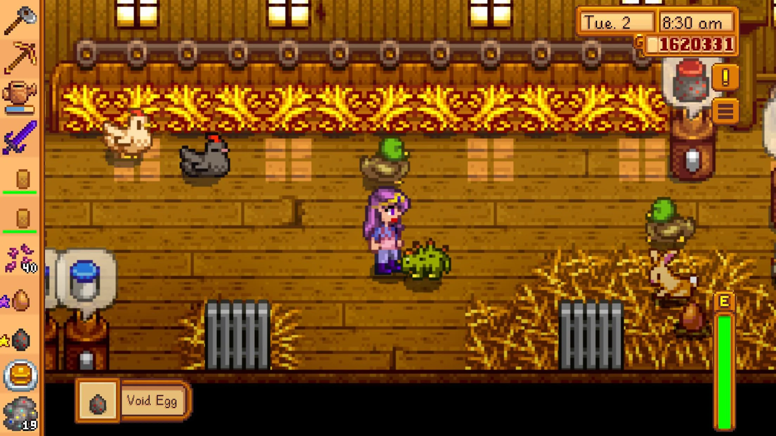 Dinosaur Stardew Valley