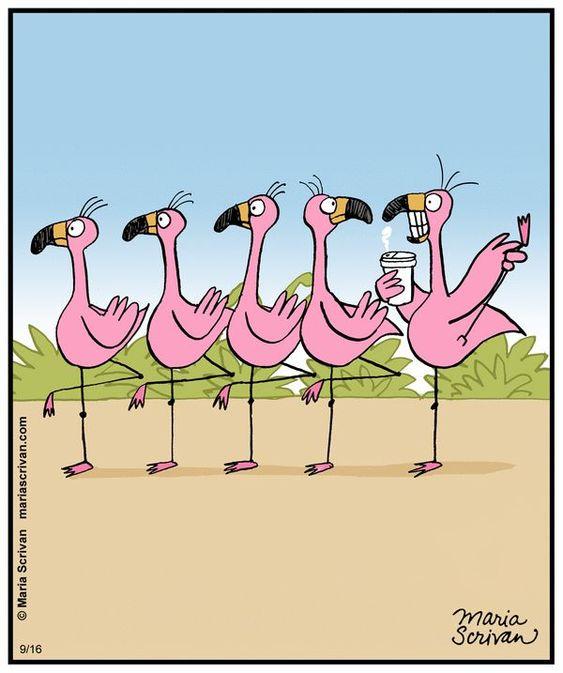 Cartoon of pink flamingos holding a cup of coffeeDescription automatically generated