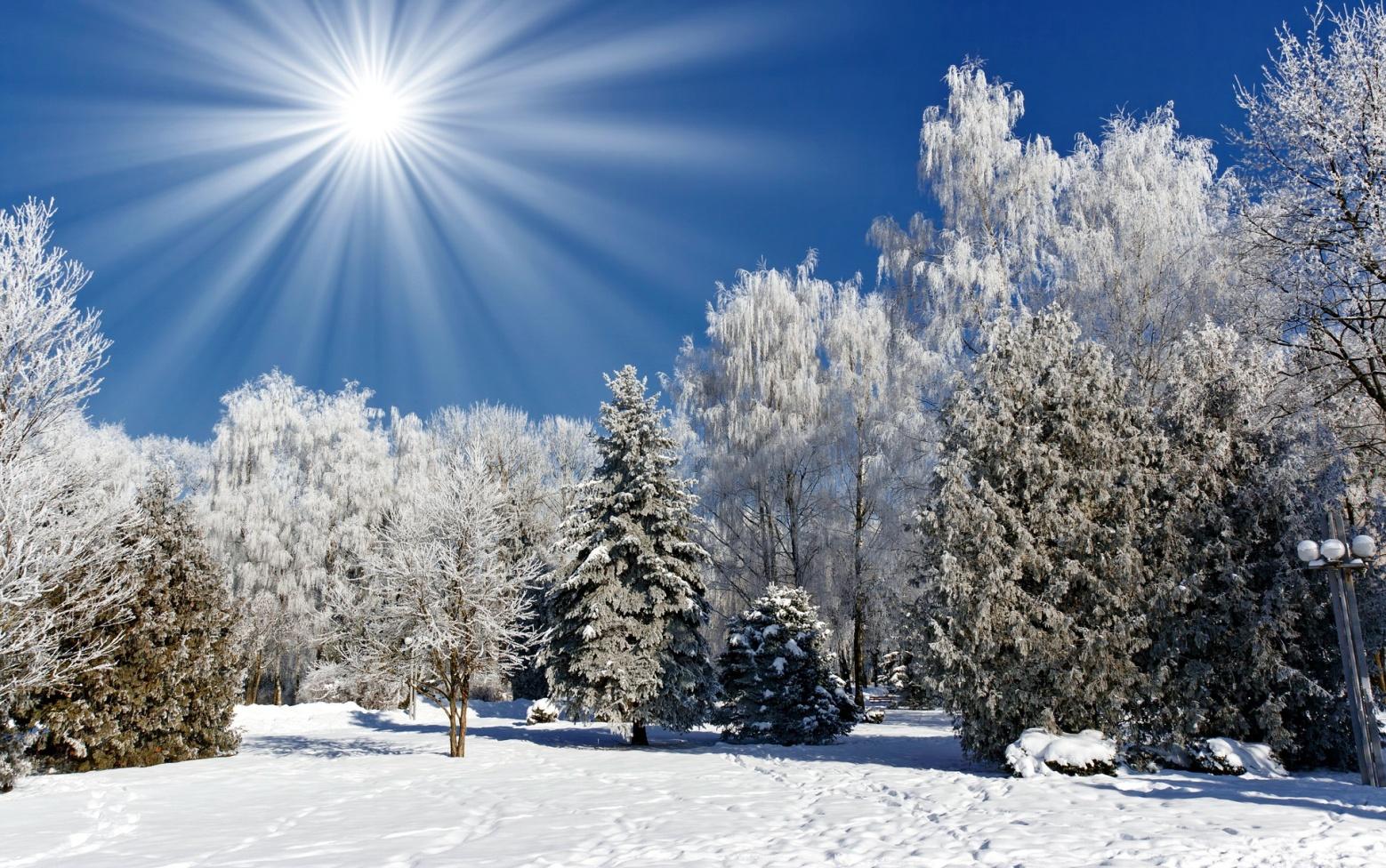 https://wallpaperscraft.com/image/sun_light_beams_sky_wood_winter_landscape_trees_hoarfrost_lamp_clearly_61270_3840x2400.jpg