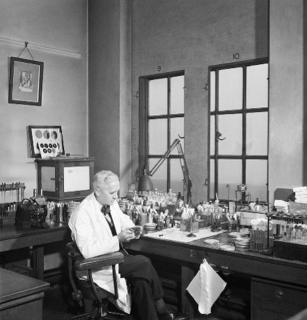 A black and white image of Alexander Fleming in his laboratory in 1943