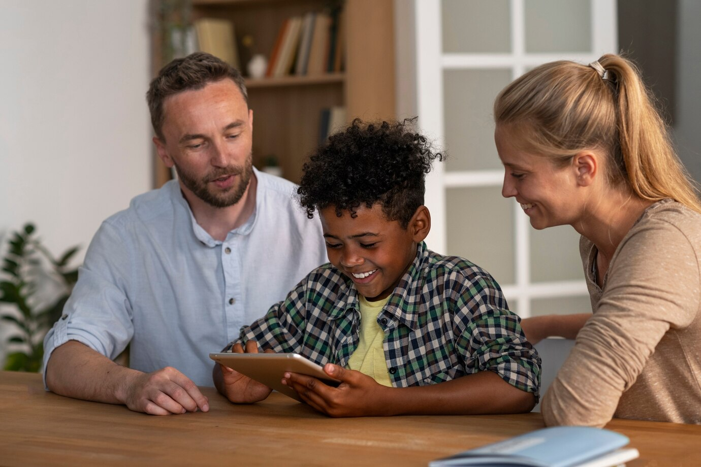 Harmony Handbook Your Family Law Guide