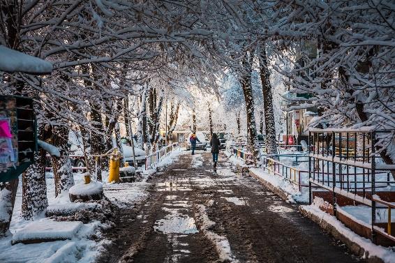 Зима в Алматы (И привет Омским пикабушникам) | Пикабу