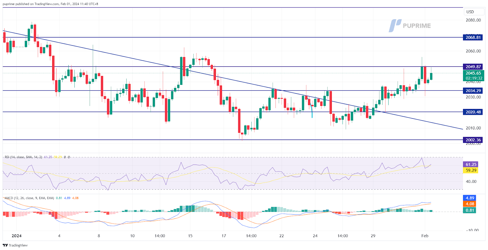 gold price chart 1 February 2024 prop trading