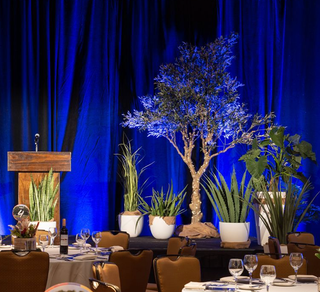 Greenery on stage at an event