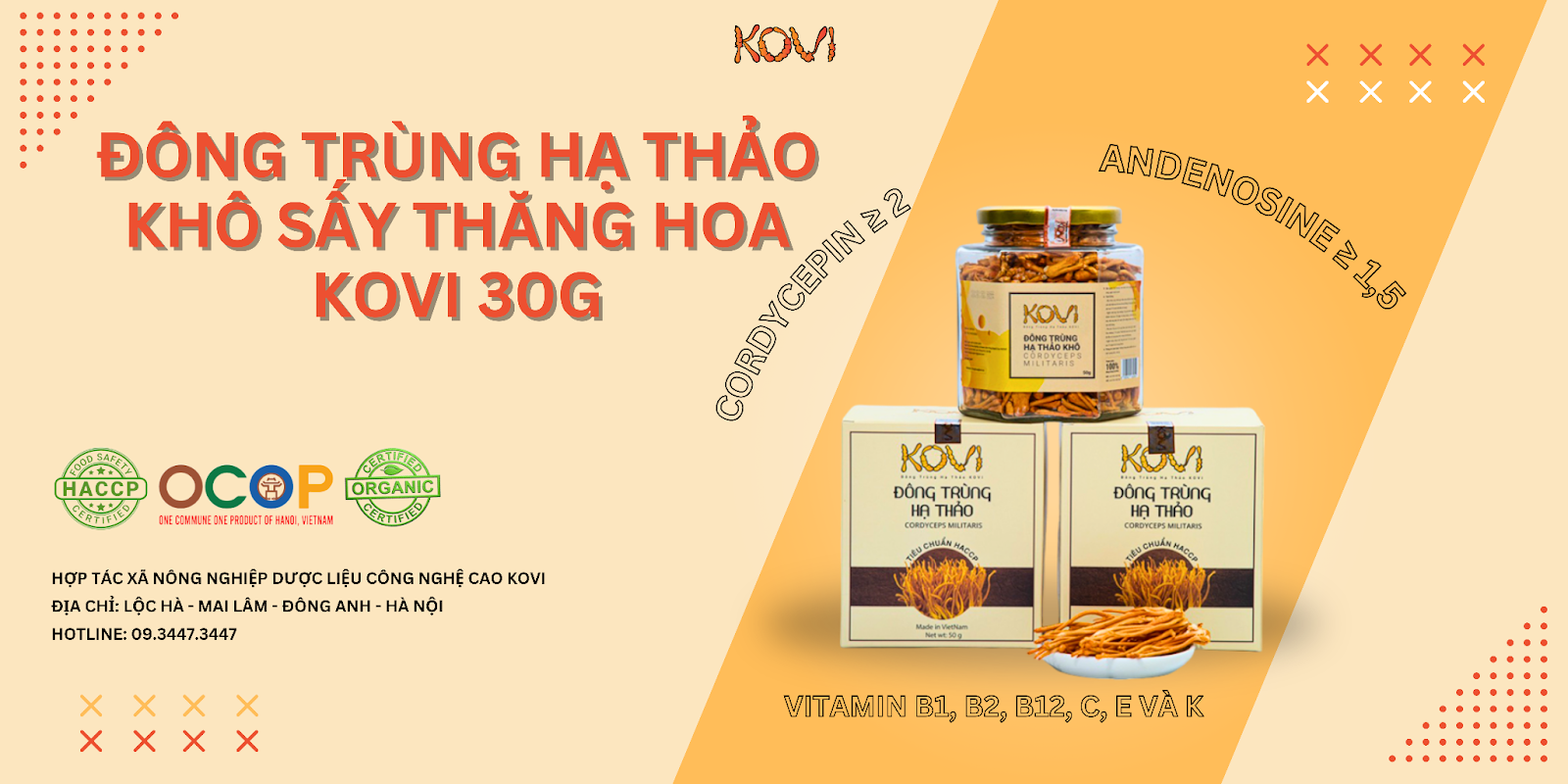 Đông trùng hạ thảo khô sấy thăng hoa KOVI 30g loại 3