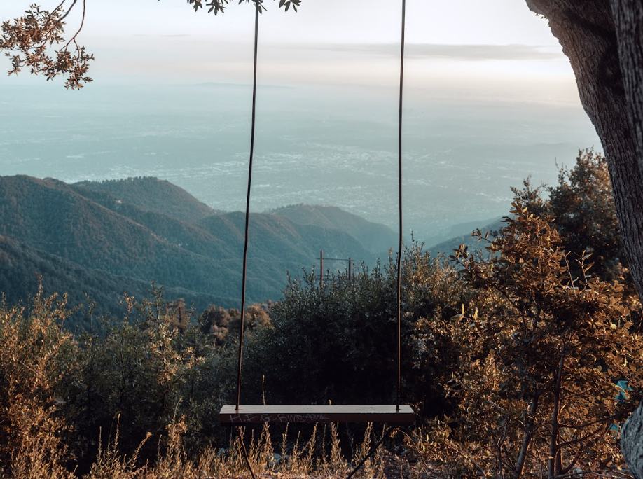 Swing hanging from a tree on a cliff and overlooking the mountains
