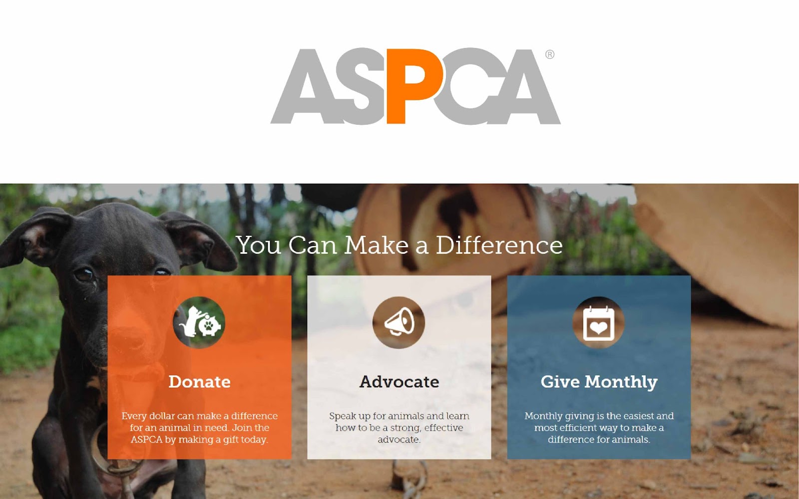 ASPCA | Best Pet Adoption Website