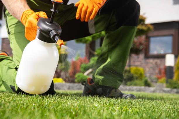 Caucasian Men Fighting Grass Lawn Weeds Caucasian Men Fighting Grass Lawn Weeds by Spraying Chemicals. Pest Control stock pictures, royalty-free photos & images