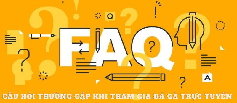 FAQ - Câu hỏi thường gặp khi tham gia đá gà trực tiếp tại betvisa