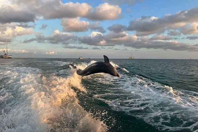 https://rockonrr.com/wp-content/uploads/2023/03/private-dolphin-sightseeing-tour-panama-city-beach1.jpg