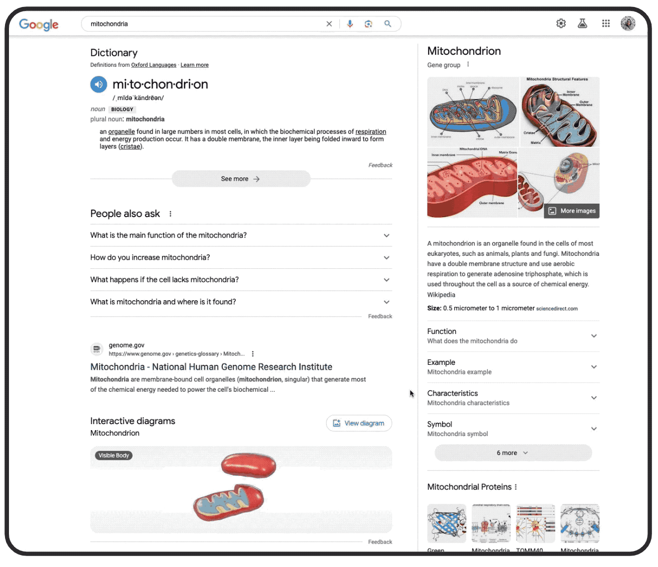 (Contoh penggunaan Google Lens untuk pembelajaran Biologi. Sumber foto Google Blog) 