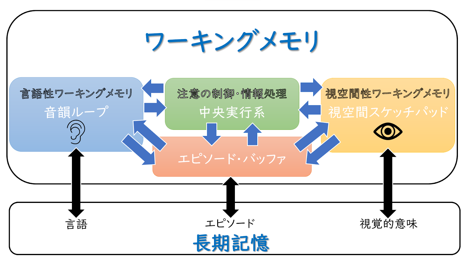 ワーキングメモリ（WMI）って？どうやって鍛えるの？│WMIの低い子の支援方法と学習の工夫をご紹介 | 個別最適学習プログラム「SOLE」