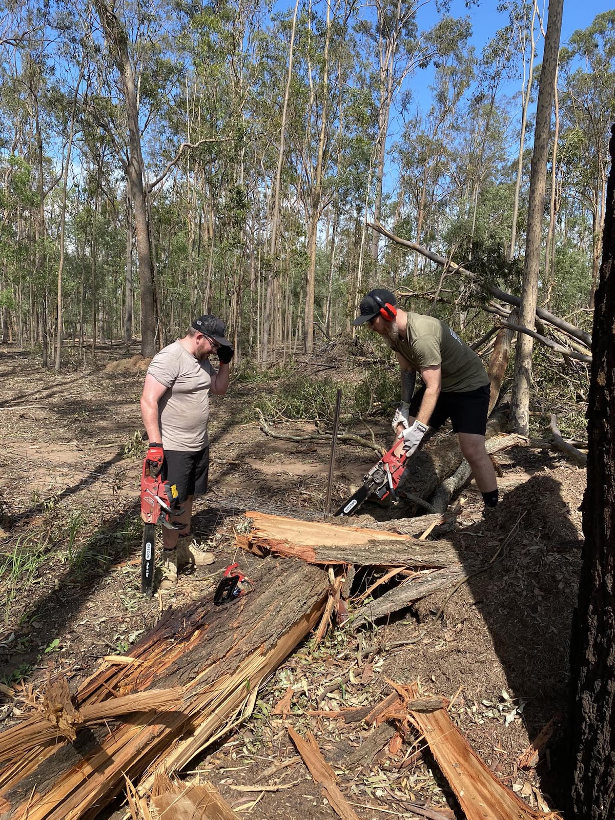 logan storm cleanup