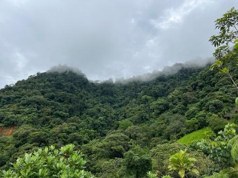 A green mountain with trees and clouds

Description automatically generated