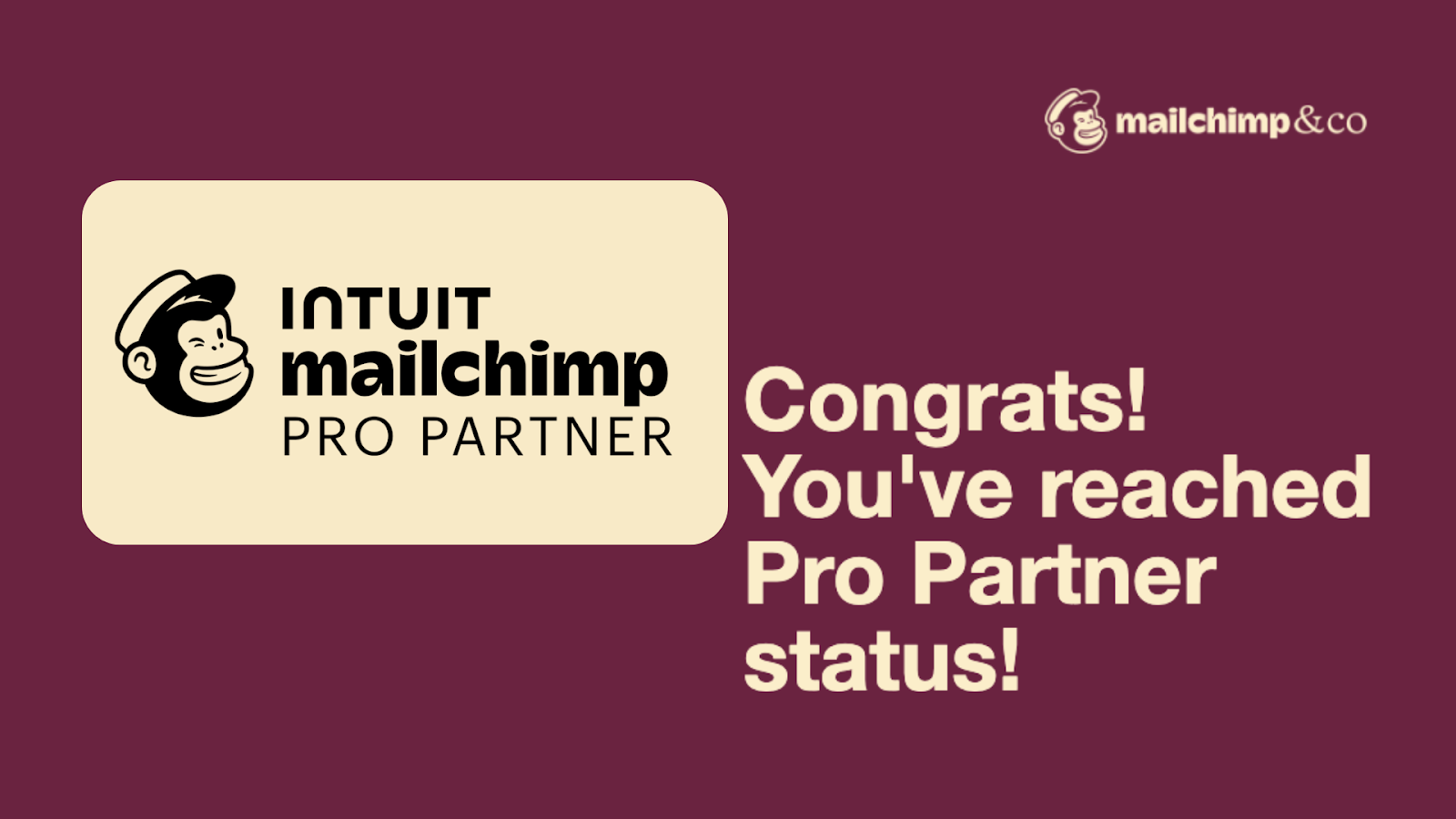 Čestitka Mailchimpa za dostizanje statusa Pro Partner
