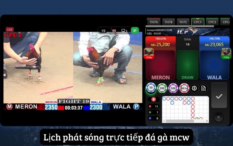 Lịch phát sóng trực tiếp đá gà mcw