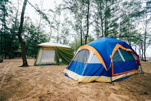 Cắm trại là hoạt động thú vị khi đến Tam Đảo