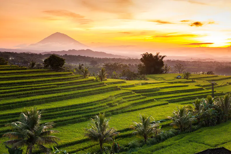 Tempat Wisata Di Bali Ini Wajib Kamu Kunjungi!