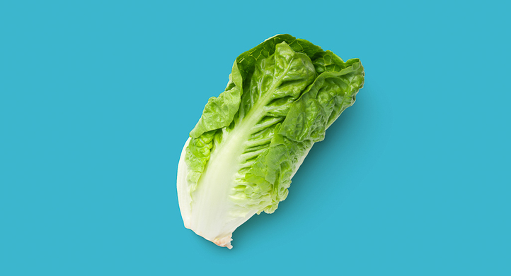 a head of lettuce on flat surface