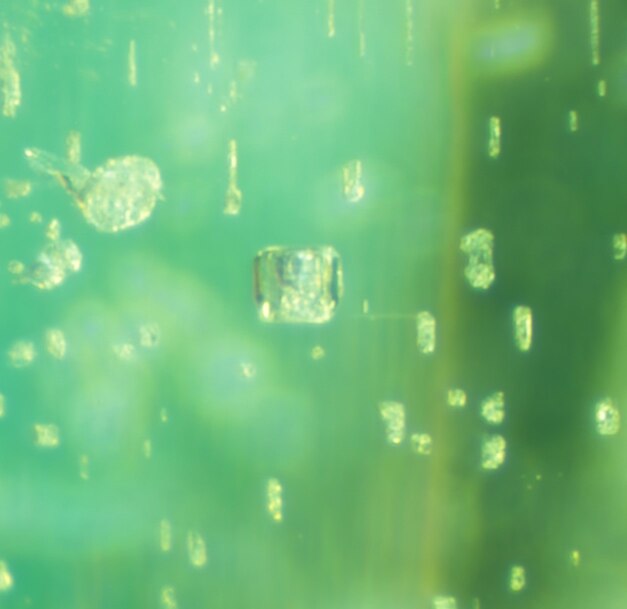 maximum magnification showing a 2-phase inclusion (a crystal inclusion with gas bubbles) shot under a combination of white light and dark field illumination (captured with Gemolite NXT Microscope WF 10x/22 Lens and Canon 5D EOS Mark III)