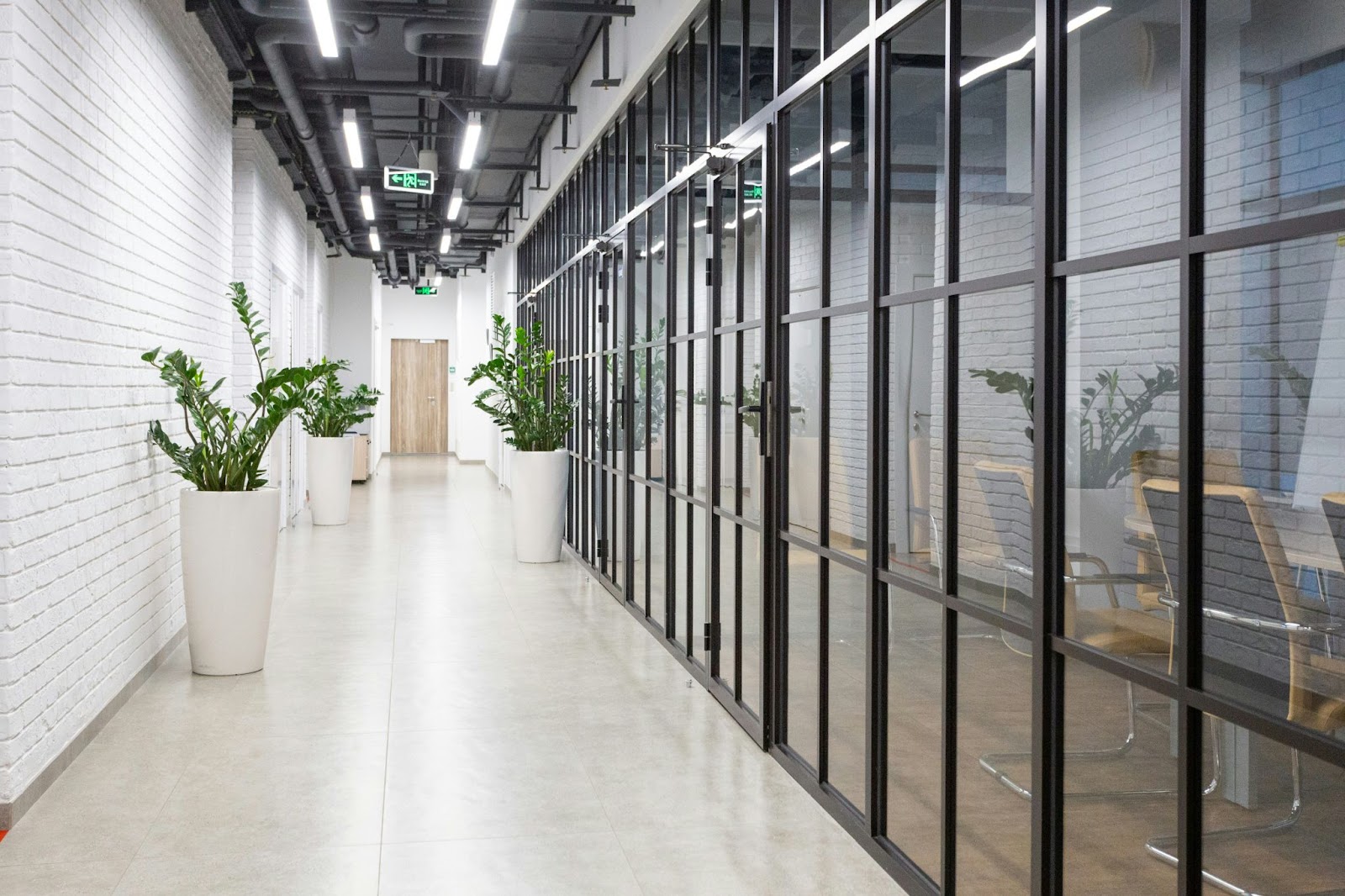 Modern office space with plants in white pots