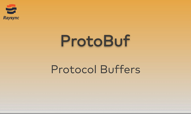 Raysync utilize ProtoBuf for efficient data transfer