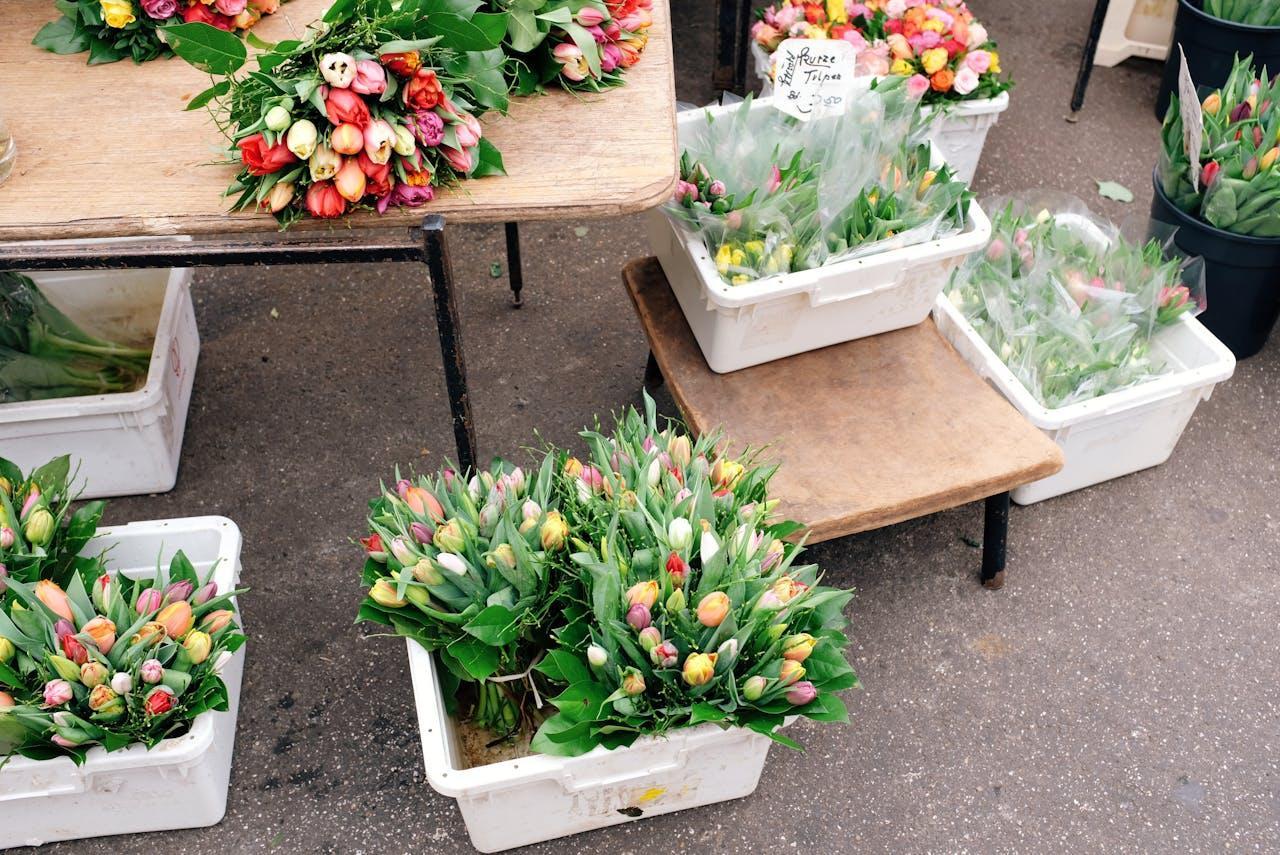 Window Box Ideas