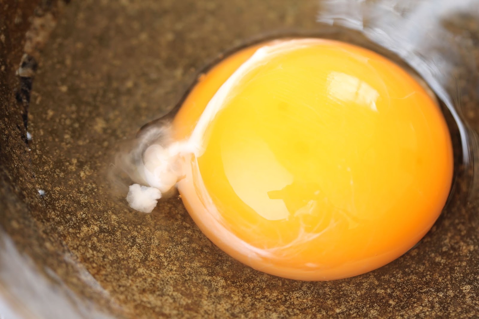 卵のカラザは取らずに食べて！カラザの正体を養鶏場が解説！