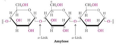 Biomolecules Chemistry Class 12 Notes