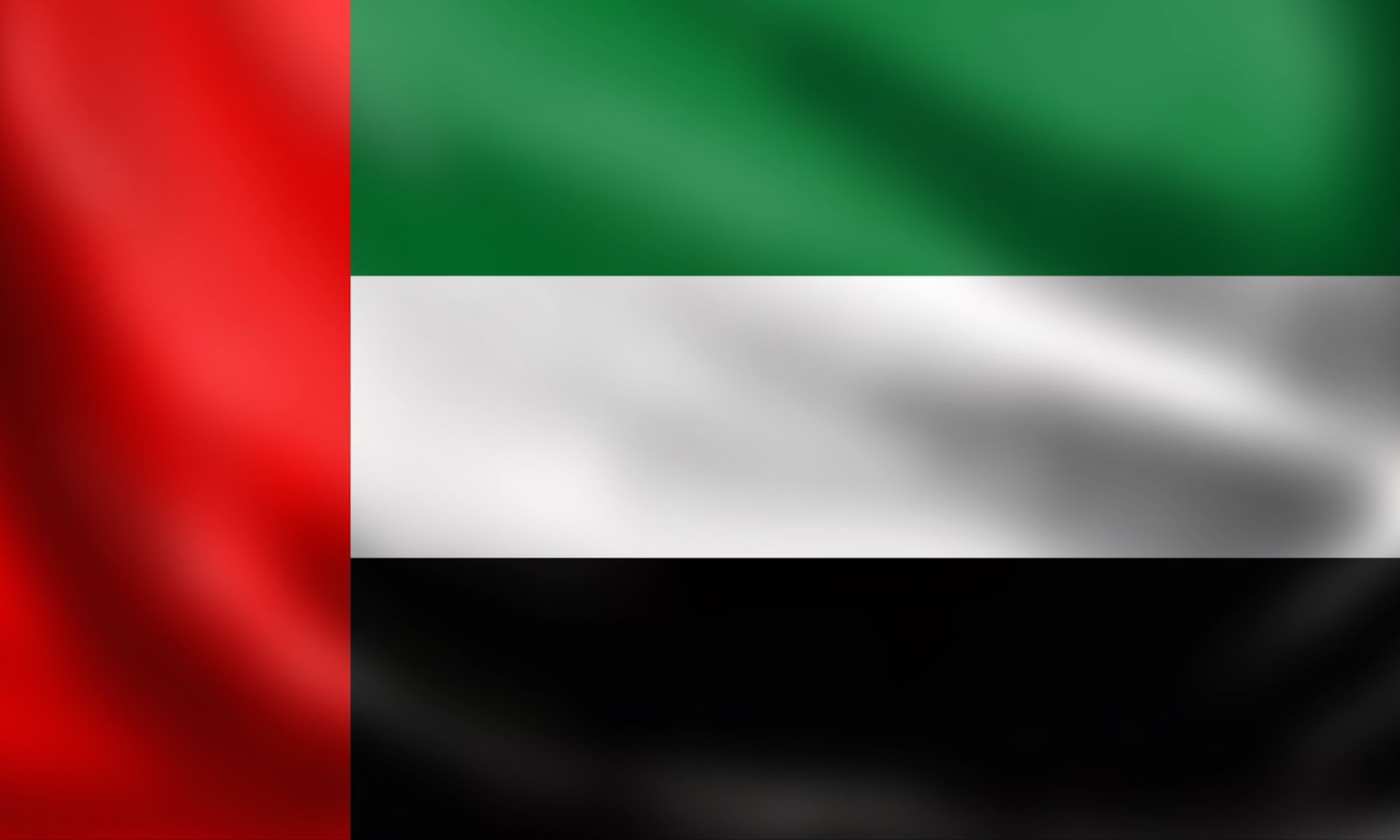 UAE flag