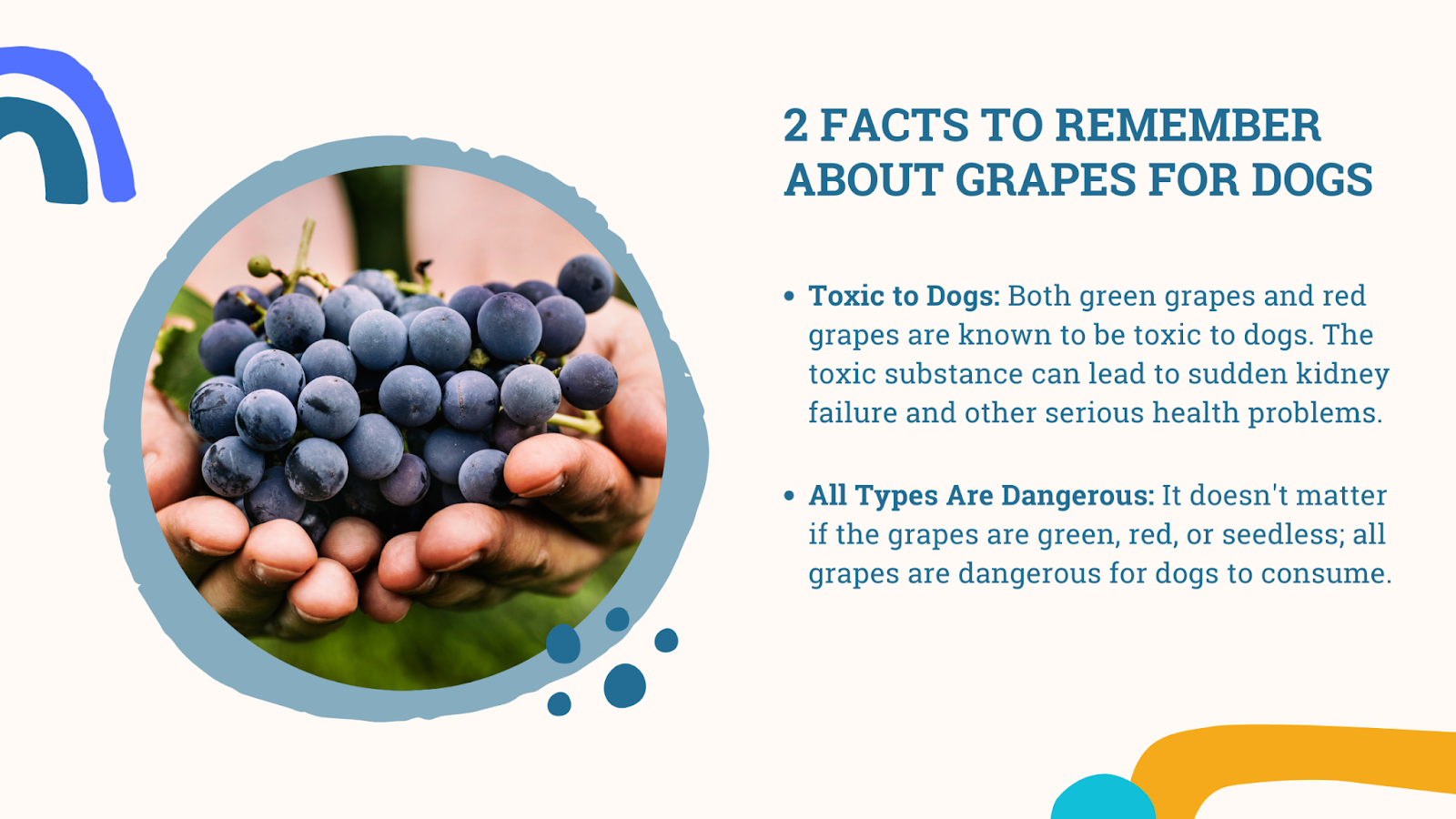 Grapes for dogs