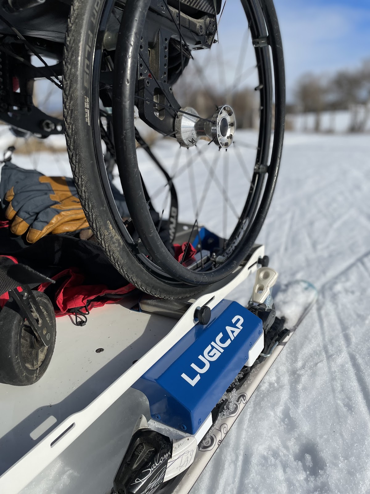 Détail fauteuil roulant installé sur Lugicap Snow pour faire une balade sur la neige pour personne à mobilité réduite