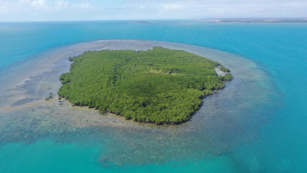 Rising Sea Levels Boosts Mangrove Growth