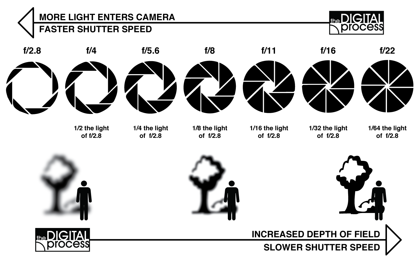 Choosing the Right ISO for Product Photography image 3