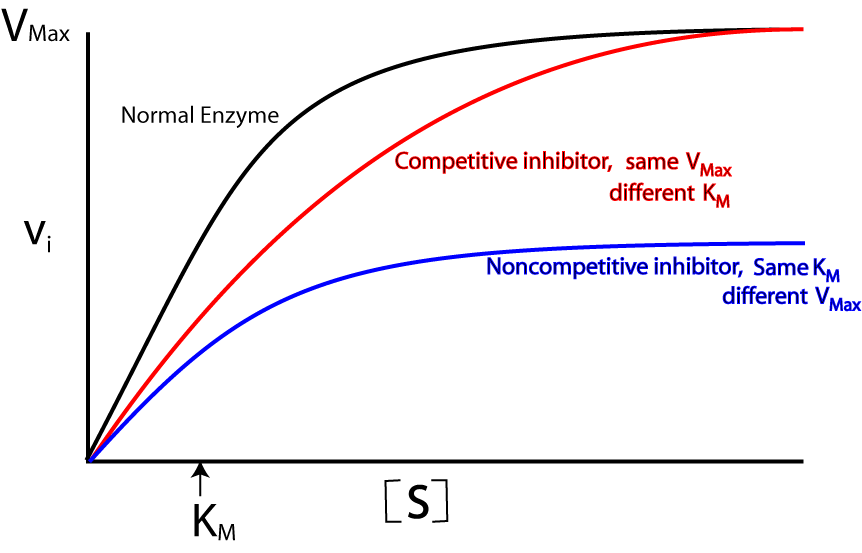 graph showing both competitive and non-competitive inhibitors