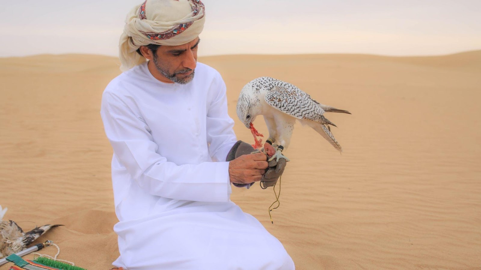 C:\Users\786\Desktop\Dubai_Desert_Safari_Photo_with_Falcon4_f7b4cba96d.jpg
